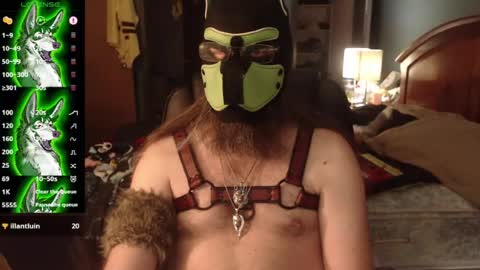 Snapshot of kinkywolf87 chatting on 3, 7, 2026 kinkywolf87 online show from 3, 7, 2026