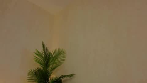 Snapshot of kirabesser chatting on 27, 2, 2026 kirabesser online show from 27, 2, 2026