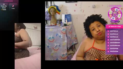 kitten online show from 14, 1, 2026