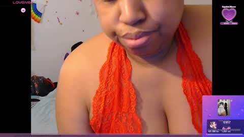 kitten online show from 15, 2, 2026