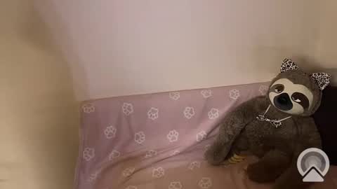 Snapshot of kitiket1 chatting on 11, 2, 2025 kitiket1 online show from 11, 2, 2025