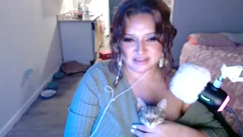 kittengonewild online show from 16, 7, 2026