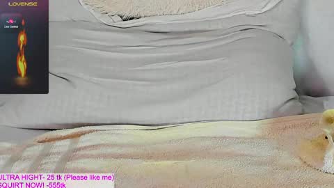 Snapshot of kitty1grey chatting on 11, 5, 2026 Kitty online show from 11, 5, 2026