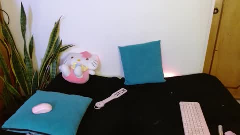 Snapshot of kittycatw chatting on 11, 2, 2026 LAURA help me reach 100likes online show from 11, 2, 2026