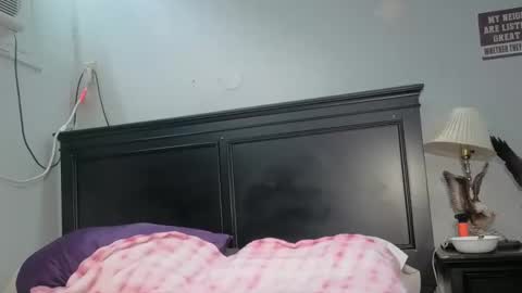 kittykat 1999 online show from 26, 2, 2026