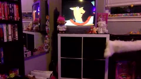 Snapshot of kittykatcoco chatting on 11, 11, 2025 kittykatcoco online show from 11, 11, 2025