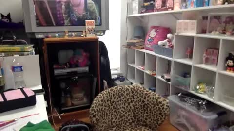 Snapshot of kittykatcoco chatting on 8, 1, 2026 kittykatcoco online show from 8, 1, 2026