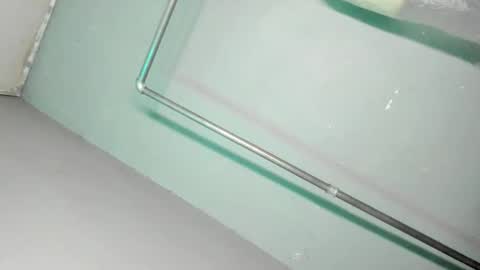 Grace online show from 29, 11, 2025