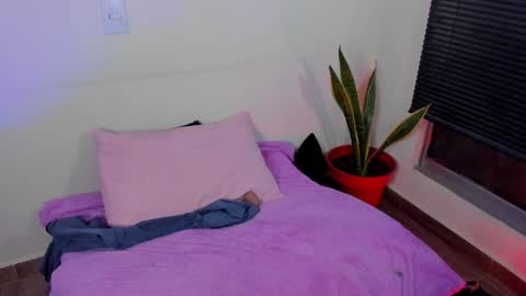 Snapshot of kornicovac chatting on 29, 12, 2024 kornicovac online show from 29, 12, 2024