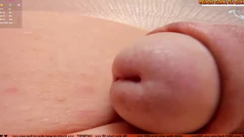 Petra online show from 12, 2, 2026