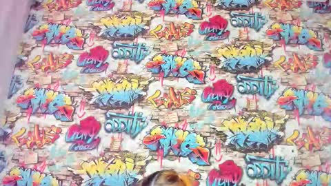 Krys online show from 27, 11, 2025