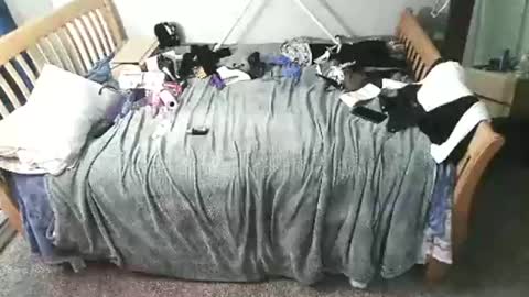 kulinky6969 online show from 15, 12, 2025