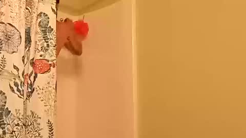 kyleisabadname online show from 20, 10, 2025