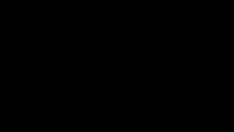 kylie_bloom online show from 31, 10, 2025