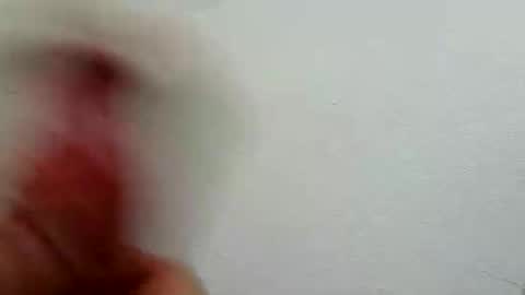 Snapshot of l0cean chatting on 26, 2, 2026 l0cean online show from 26, 2, 2026