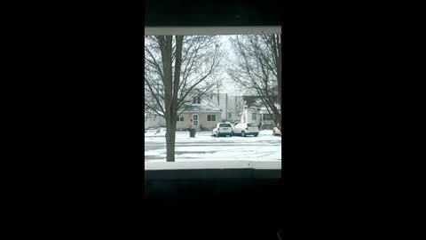 l423820 online show from 23, 2, 2026