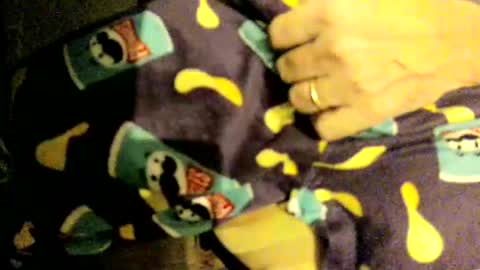 la teaser online show from 27, 11, 2025