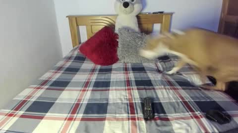 Akyra  online show from 25, 10, 2025