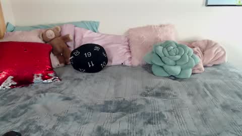 ladyboyhomemaker online show from 6, 3, 2025