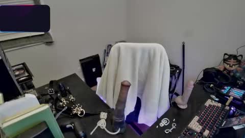 ladymeep online show from 4, 2, 2026