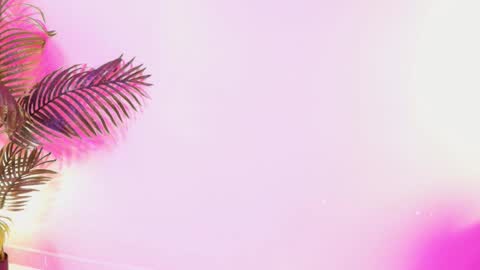 LANA online show from 29, 3, 2026