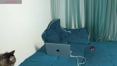 Snapshot of lasplagass chatting on 10, 6, 2026 lasplagass online show from 10, 6, 2026