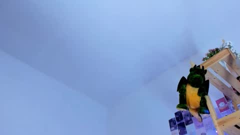 Ellie online show from 3, 10, 2025