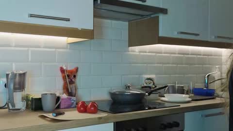 Alexandria online show from 8, 11, 2025