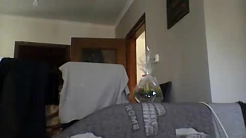 Snapshot of lelshop chatting on 8, 12, 2024 lelshop online show from 8, 12, 2024