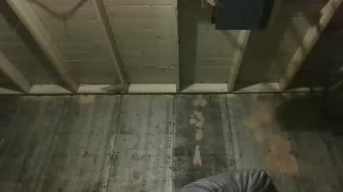 leo199984 online show from 19, 12, 2025