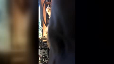 Snapshot of leongent chatting on 27, 2, 2026 Leon online show from 27, 2, 2026