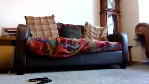 paul online show from 9, 2, 2026