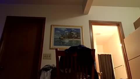 letsplay361 online show from 2, 3, 2025