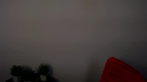 Alexia online show from 19, 6, 2026