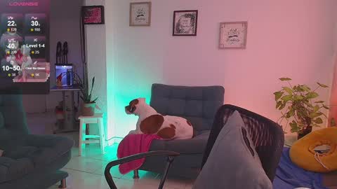 Snapshot of lexie_babe chatting on 16, 12, 2024 Lexie Thompson 8pm 0000am -5 online show from 16, 12, 2024