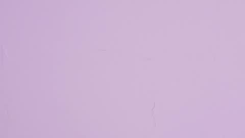 LIA  online show from 30, 5, 2026