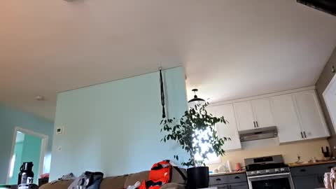 lickurpussygood40 online show from 24, 10, 2025