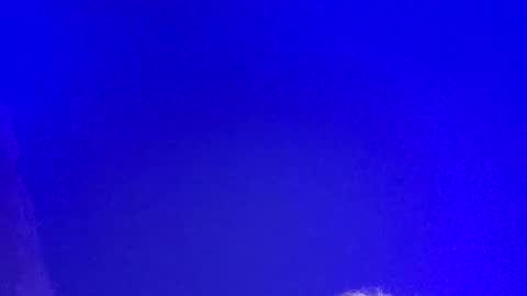 Snapshot of lickyouryoni chatting on 3, 3, 2025 LickYourYoni online show from 3, 3, 2025