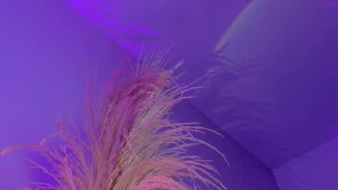 Liiam Luna online show from 7, 1, 2026