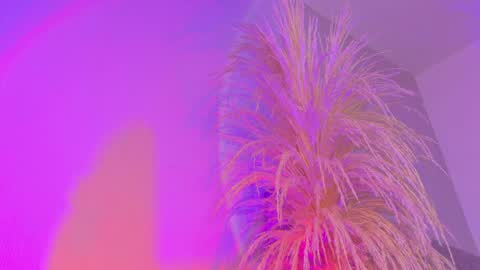 Liiam Luna online show from 3, 4, 2026