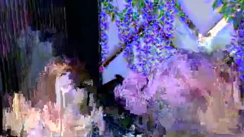 Brittany online show from 3, 12, 2025