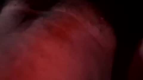 Liketoplay online show from 20, 3, 2026