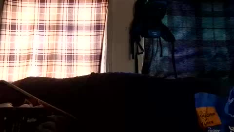 lildurke65 online show from 10, 2, 2026