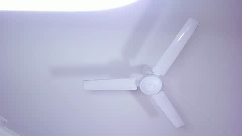 Snapshot of lilith_and_marcusblain chatting on 4, 1, 2025 Lili Marcus online show from 4, 1, 2025