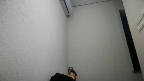 Lily online show from 14, 10, 2025