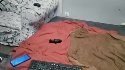 Snapshot of lillysissi chatting on 2, 7, 2026 Lilli Sissy SlutCat online show from 2, 7, 2026