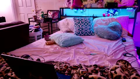 Snapshot of liltrannyslut chatting on 25, 1, 2025 jasmine spunn online show from 25, 1, 2025