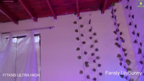 Fansly LilyBunny- help me reach 50 thumbs up online show from 6, 12, 2024