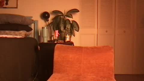 Little Lily online show from 19, 6, 2026