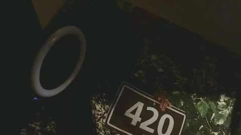 lilybvixen online show from 25, 2, 2026